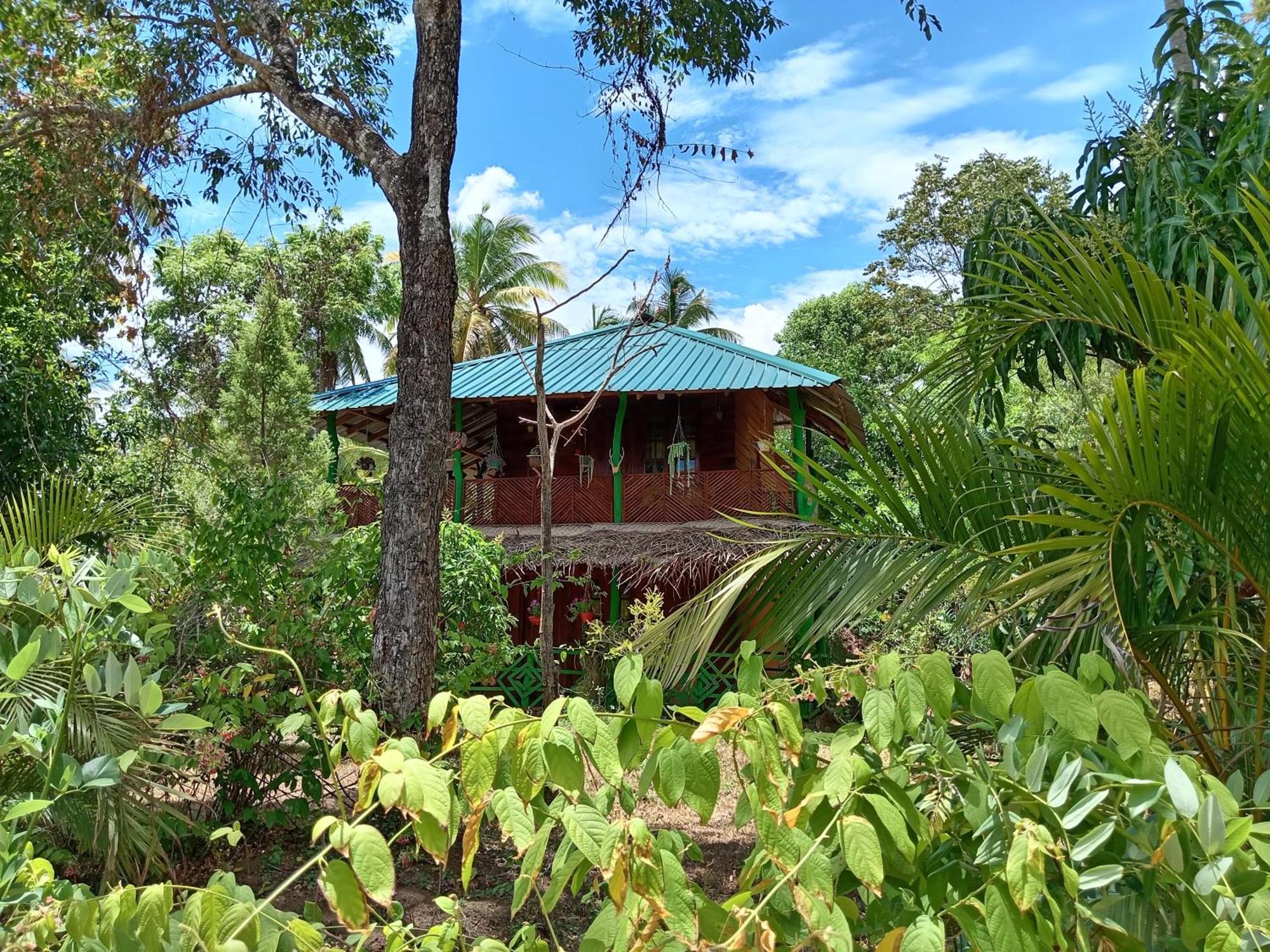 Sigiri Lion Eco Palace Sigiriya Exterior foto